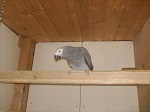 Bild 4 von 4